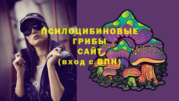 твердый Нефтегорск