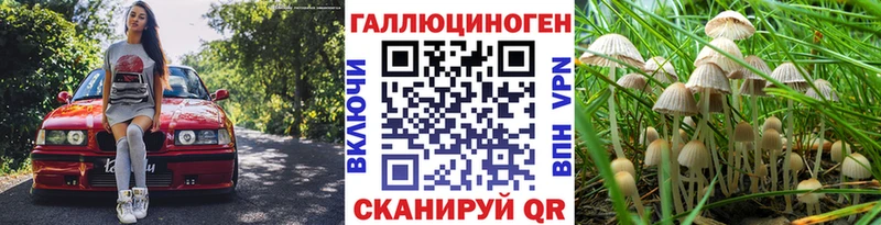 где можно купить   Райчихинск  Галлюциногенные грибы мицелий 