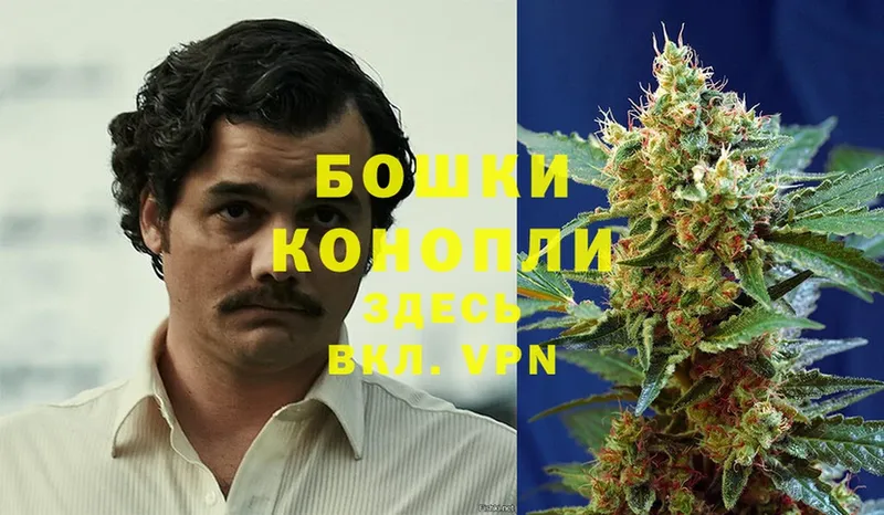 Каннабис Bruce Banner  Райчихинск 